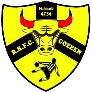 Logo NICO TEAM CHÂTELET