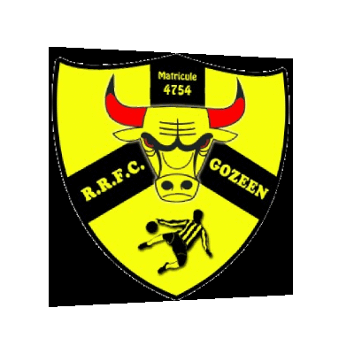Logo NICO TEAM CHÂTELET